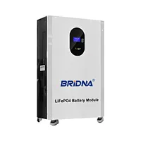 BRIDNA 15-kWh-Niederspannungs-ESS-Batterie für private Solarenergiespeichersysteme